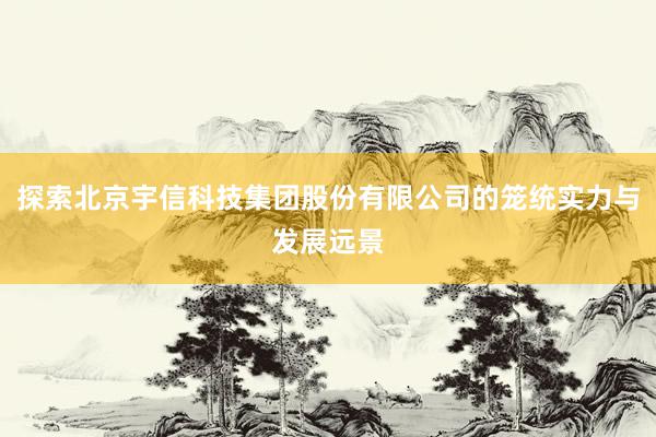 探索北京宇信科技集团股份有限公司的笼统实力与发展远景